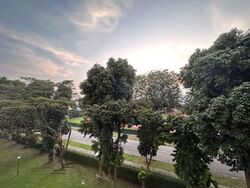Neptune Court (D15), Apartment #562451111